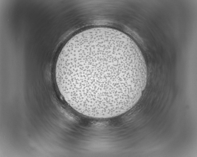 X0000072490155200608111611