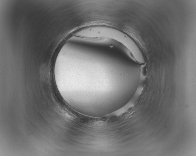 X0000072490156200608111611