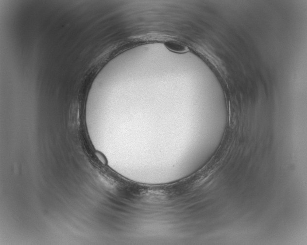 X0000072490157200608111611