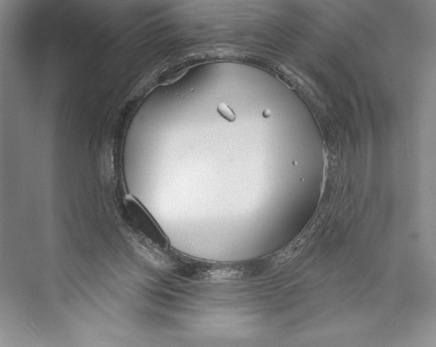 X0000072490158200608111611