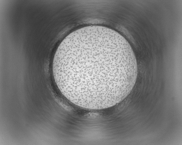 X0000072490159200608111611