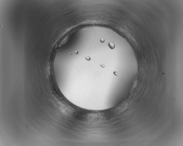 X0000072490160200608111611