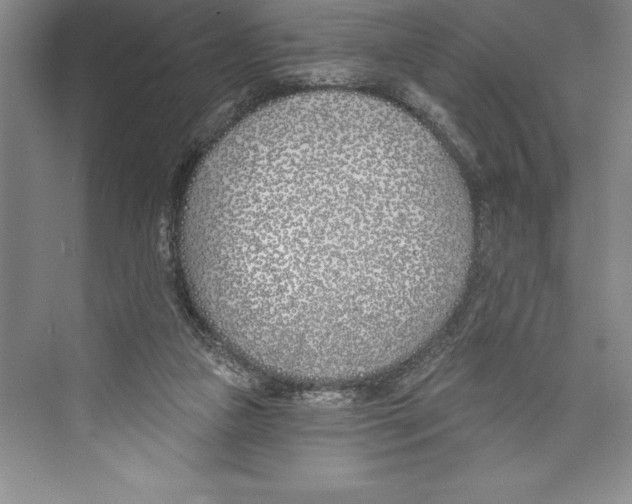 X0000072490161200608111611