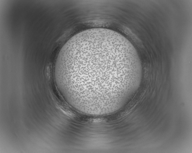 X0000072490165200608111611