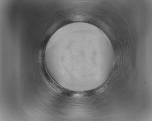 X0000072490167200608111611