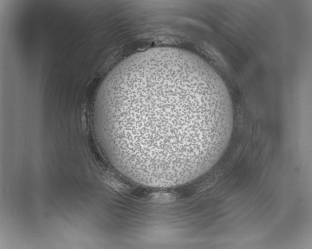 X0000072490169200608111611