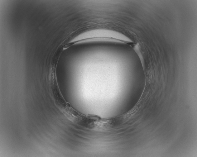 X0000072490172200608111611