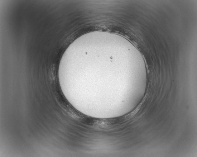 X0000072490174200608111611