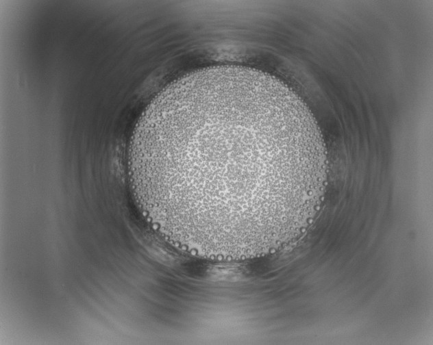 X0000072490175200608111611