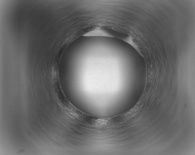 X0000072490176200608111611