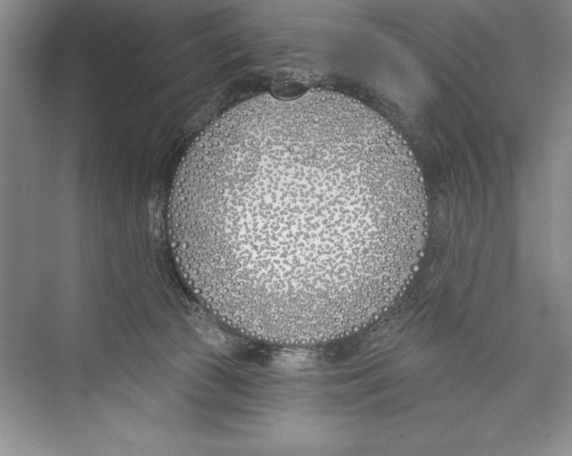 X0000072490177200608111611