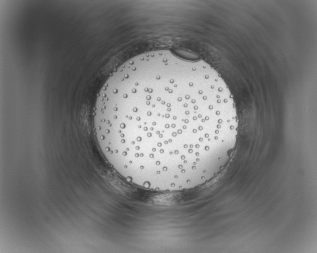 X0000072490178200608111611