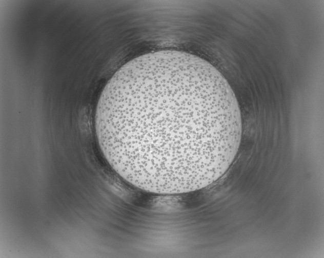 X0000072490179200608111611