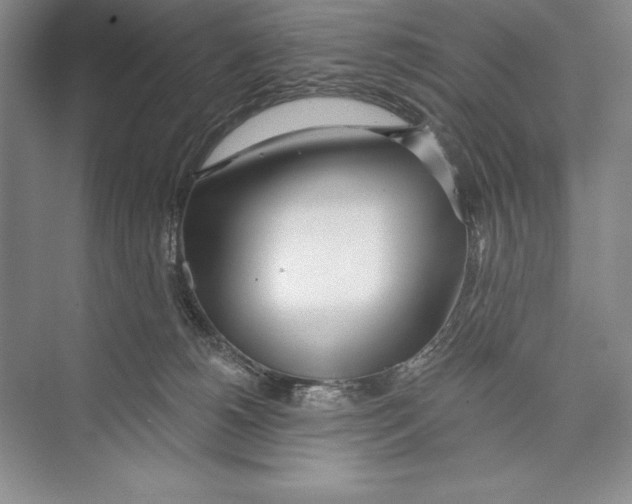 X0000072490180200608111611