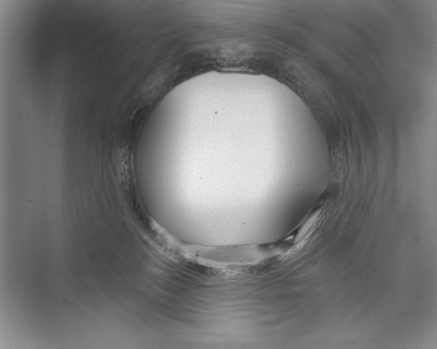 X0000072490184200608111611