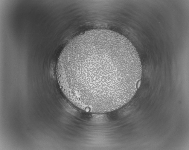 X0000072490185200608111611