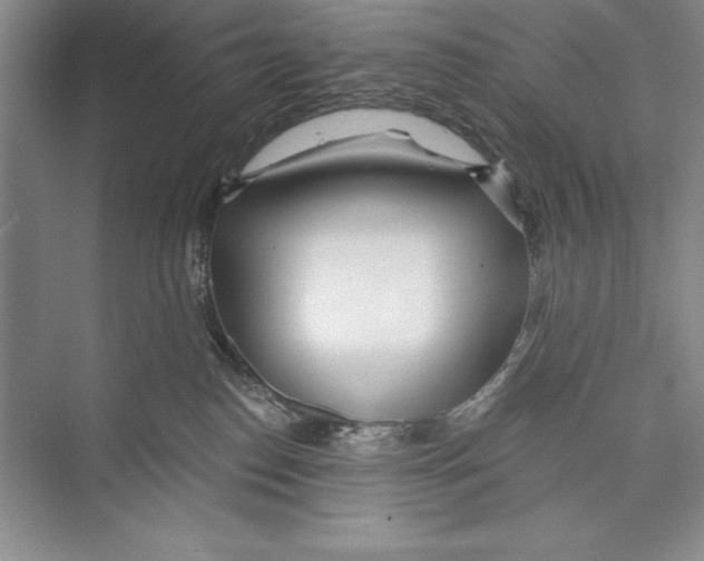 X0000072490186200608111611