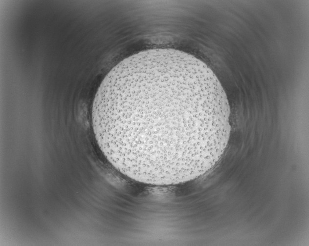 X0000072490187200608111611