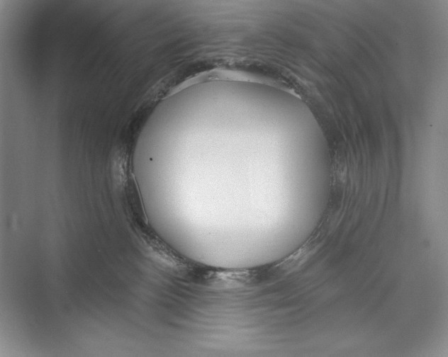 X0000072490188200608111612