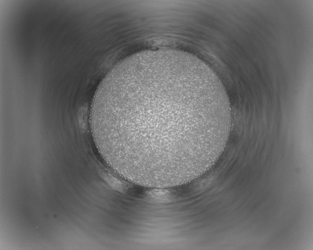 X0000072490189200608111612