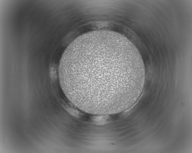 X0000072490191200608111612