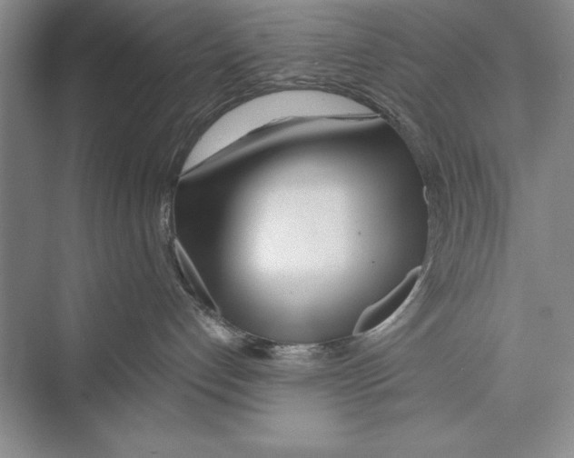 X0000072490192200608111612