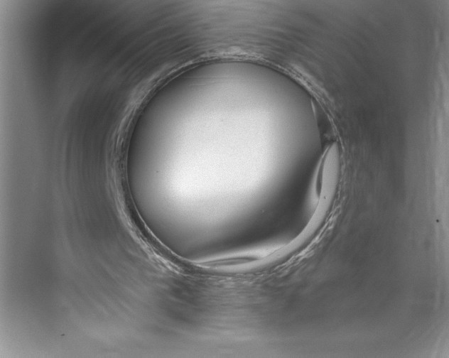 X0000072490193200608111611