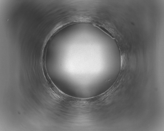 X0000072490195200608111611