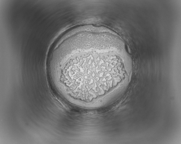 X0000072490196200608111611