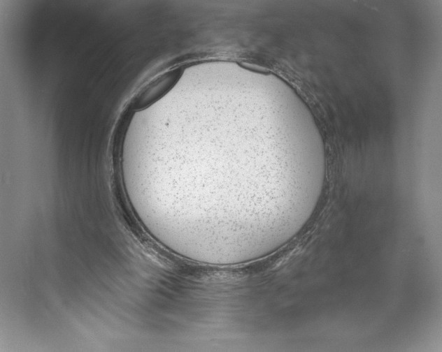 X0000072490198200608111611