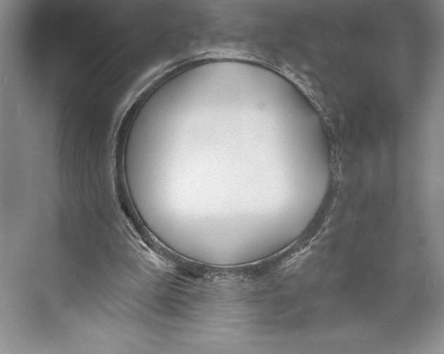 X0000072490199200608111611