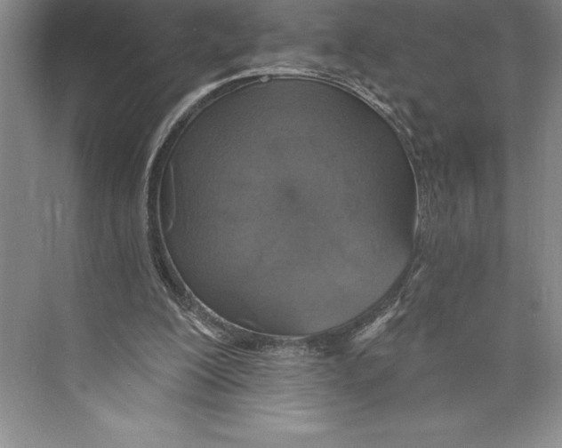 X0000072490200200608111611