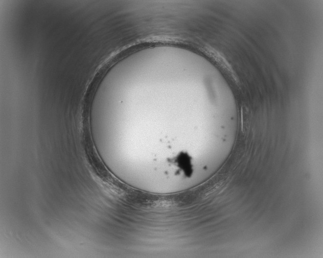 X0000072490204200608111611