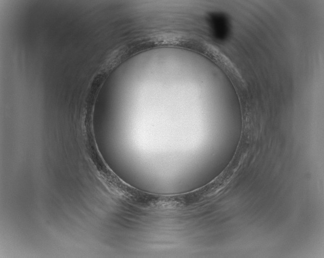 X0000072490209200608111610