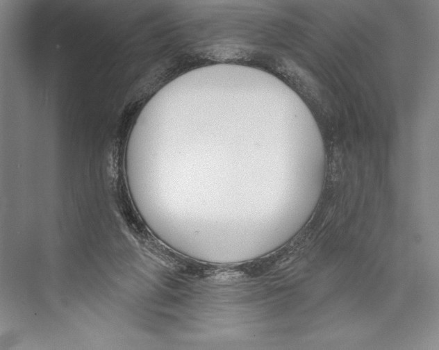 X0000072490210200608111610