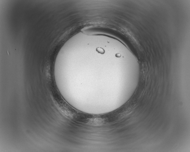 X0000072490212200608111610