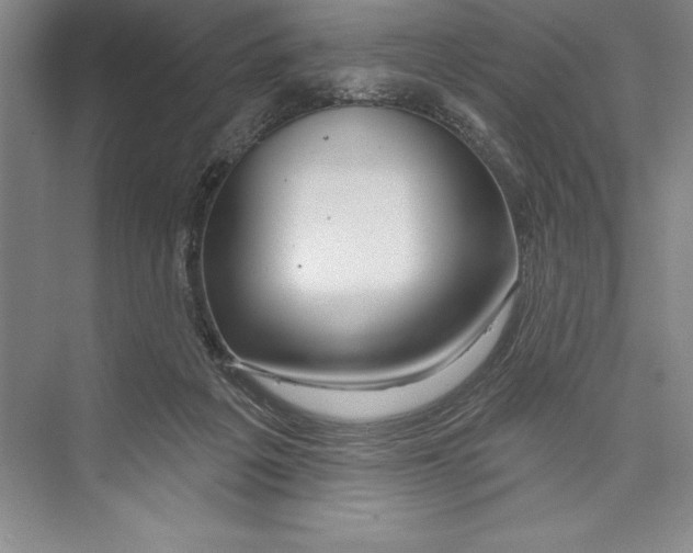 X0000072490217200608111610