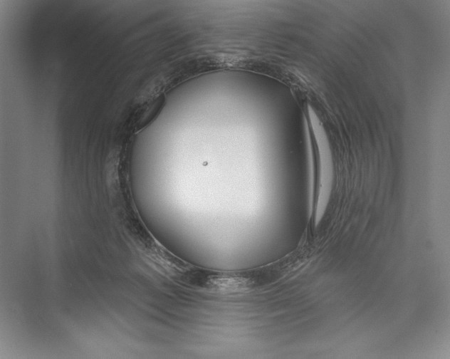 X0000072490221200608111610