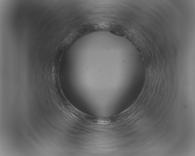 X0000072490223200608111610