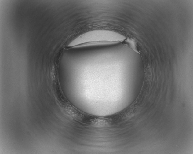 X0000072490224200608111610