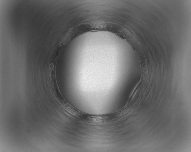 X0000072490229200608111610