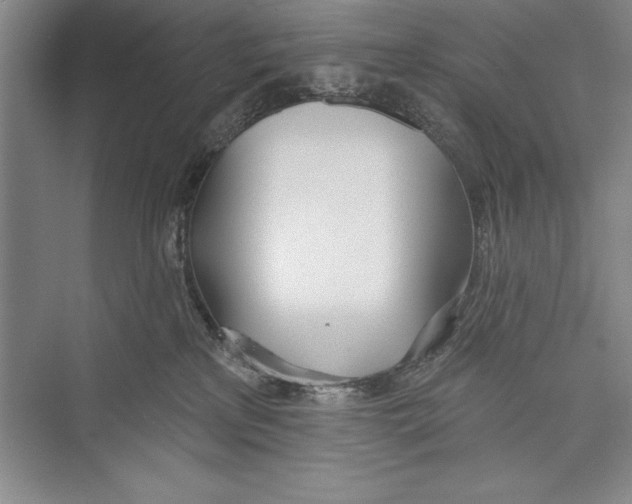 X0000072490233200608111610