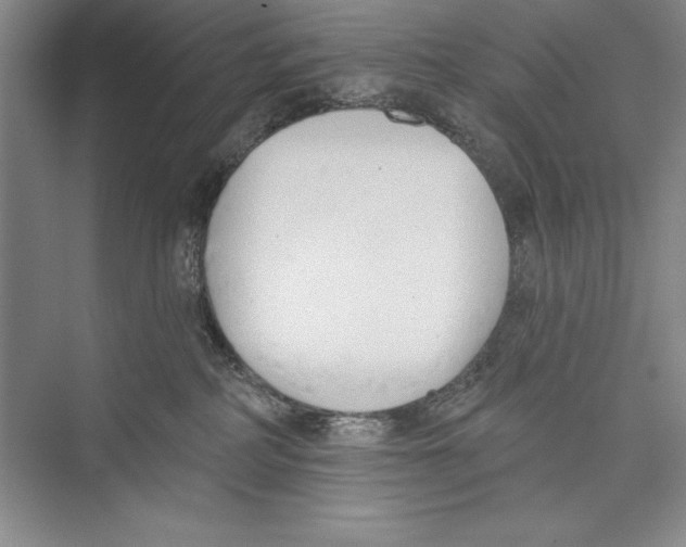 X0000072490234200608111610