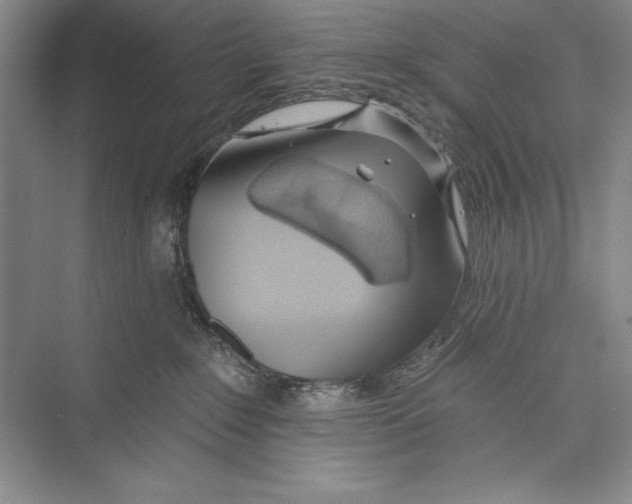 X0000072490235200608111610