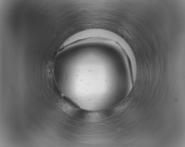 X0000072490237200608111610