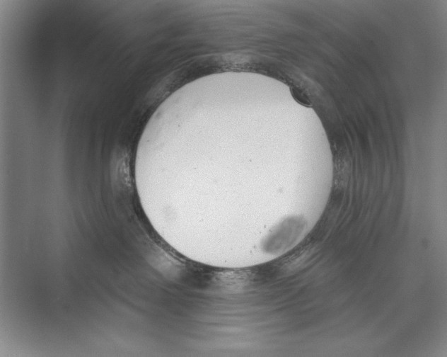 X0000072490238200608111610