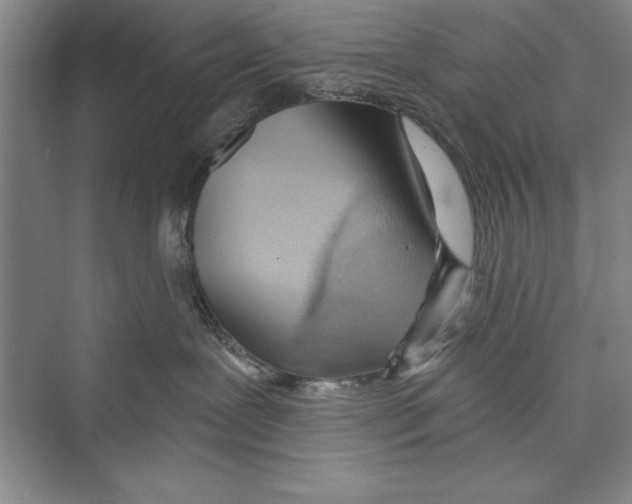 X0000072490239200608111610