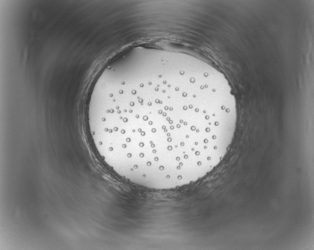 X0000072490241200608111609