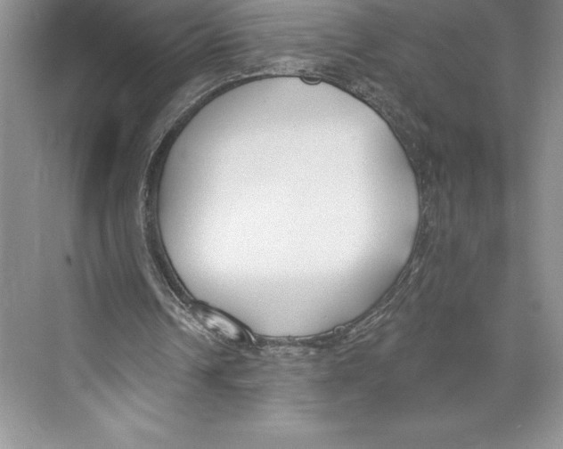 X0000072490242200608111609