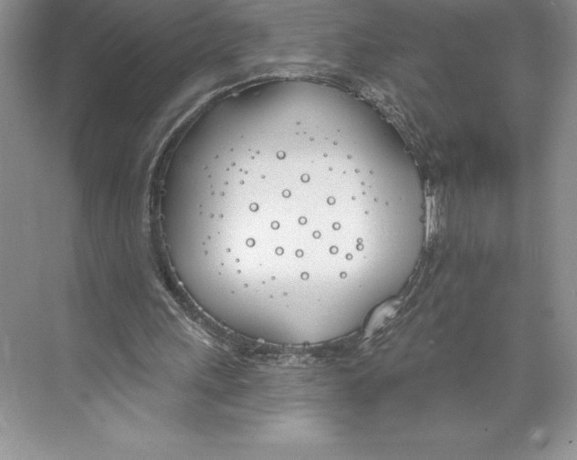 X0000072490243200608111609